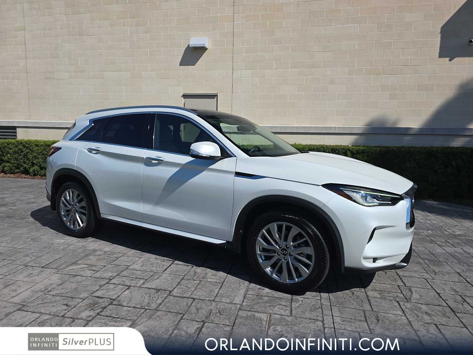 2023 INFINITI QX50 LUXE