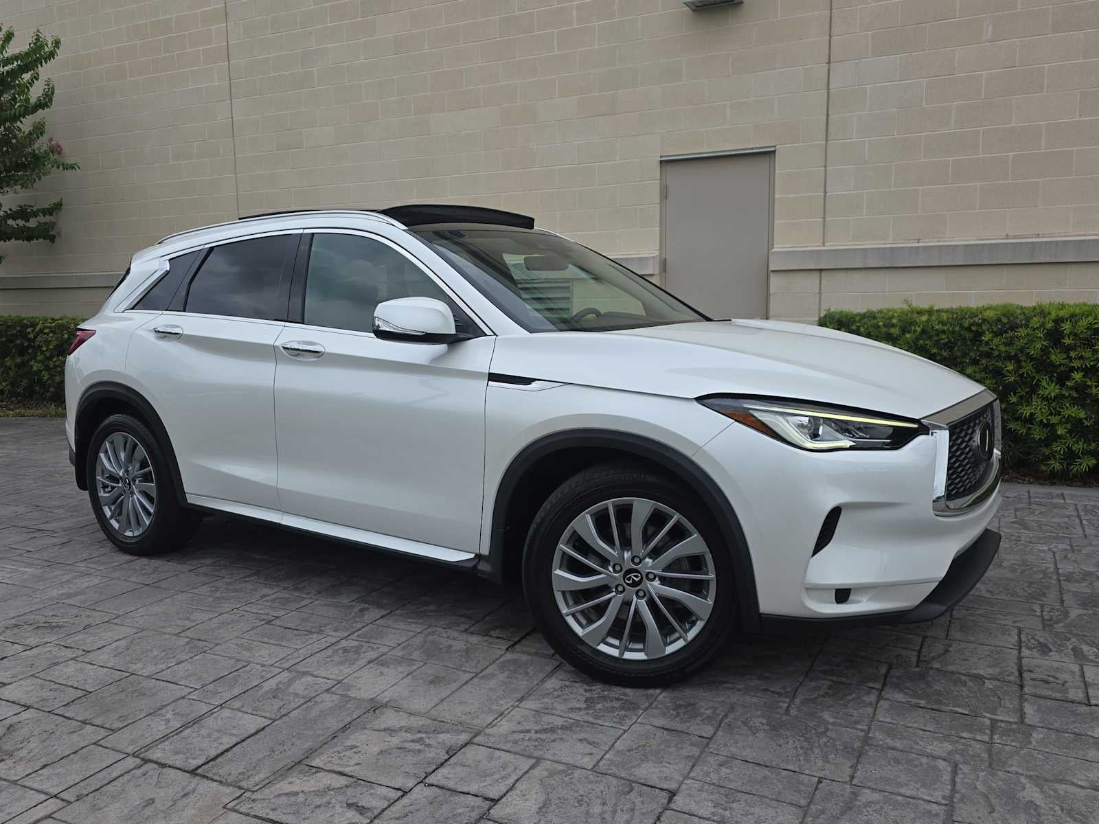 2023 INFINITI QX50 LUXE