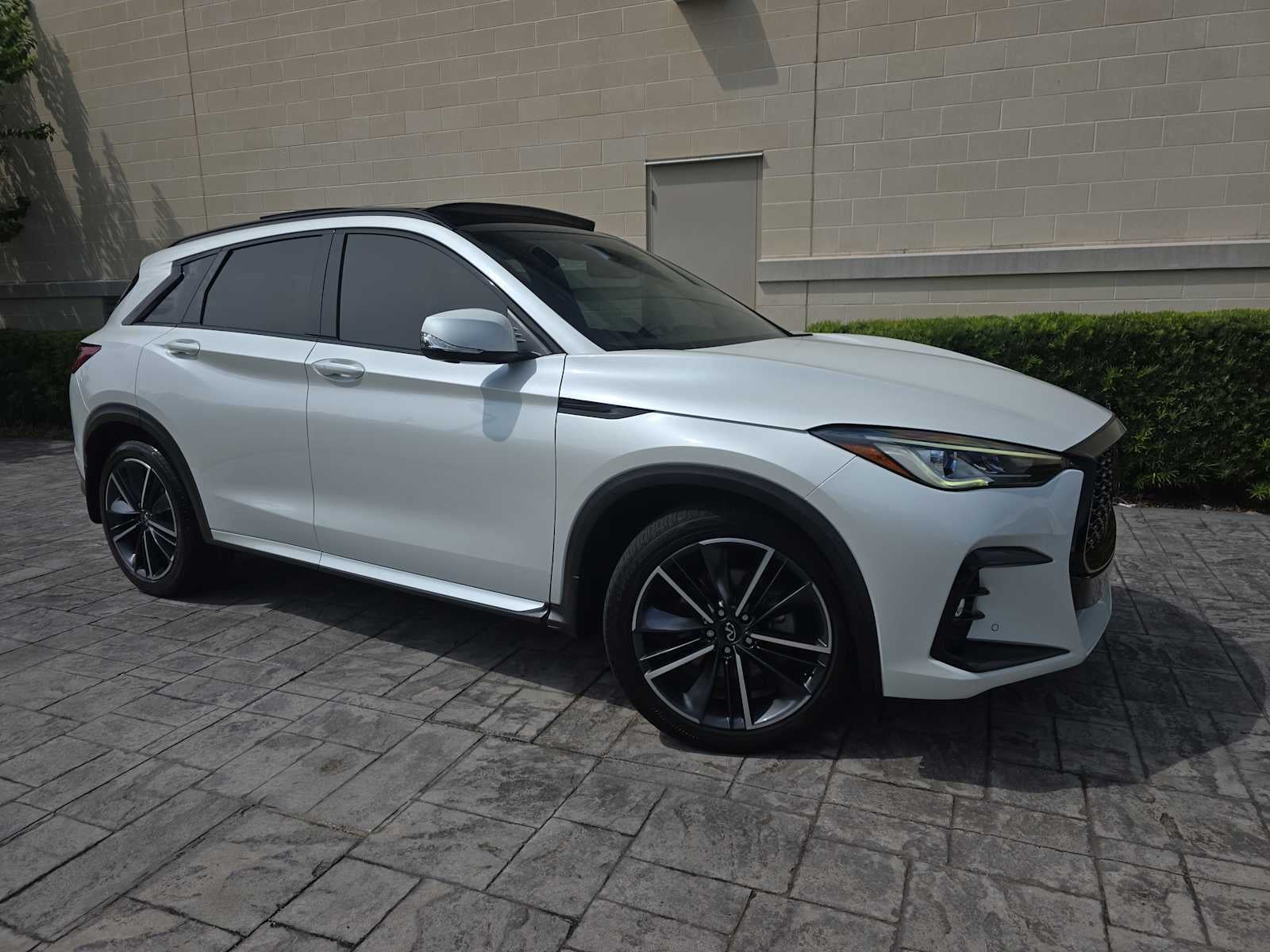 2023 INFINITI QX50 SPORT