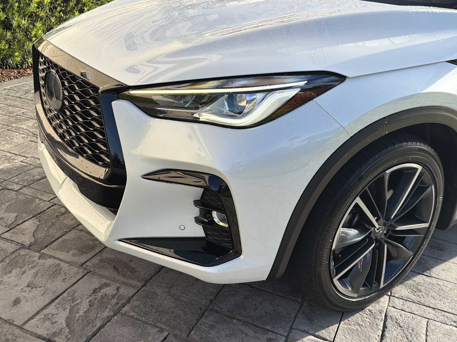 2024 INFINITI QX50 SPORT