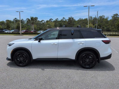 2027 INFINITI QX60 SPORT