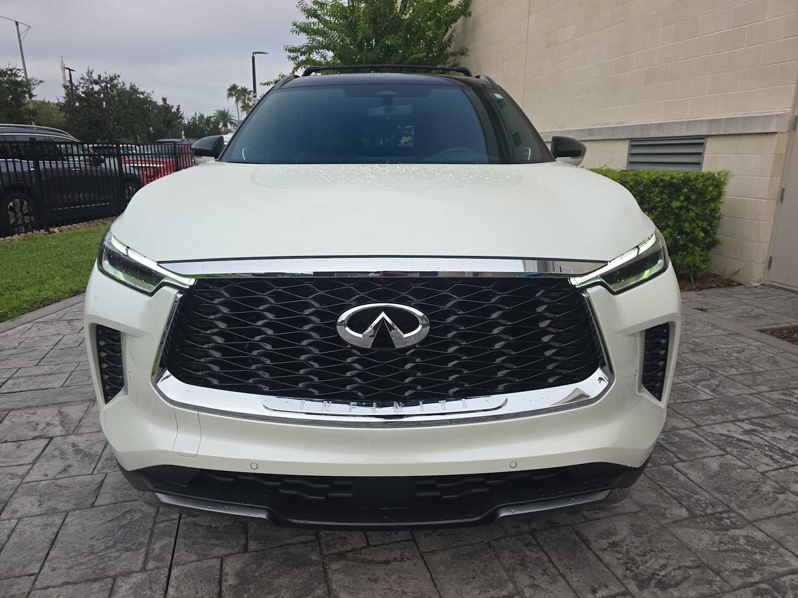 2024 INFINITI QX60 AUTOGRAPH