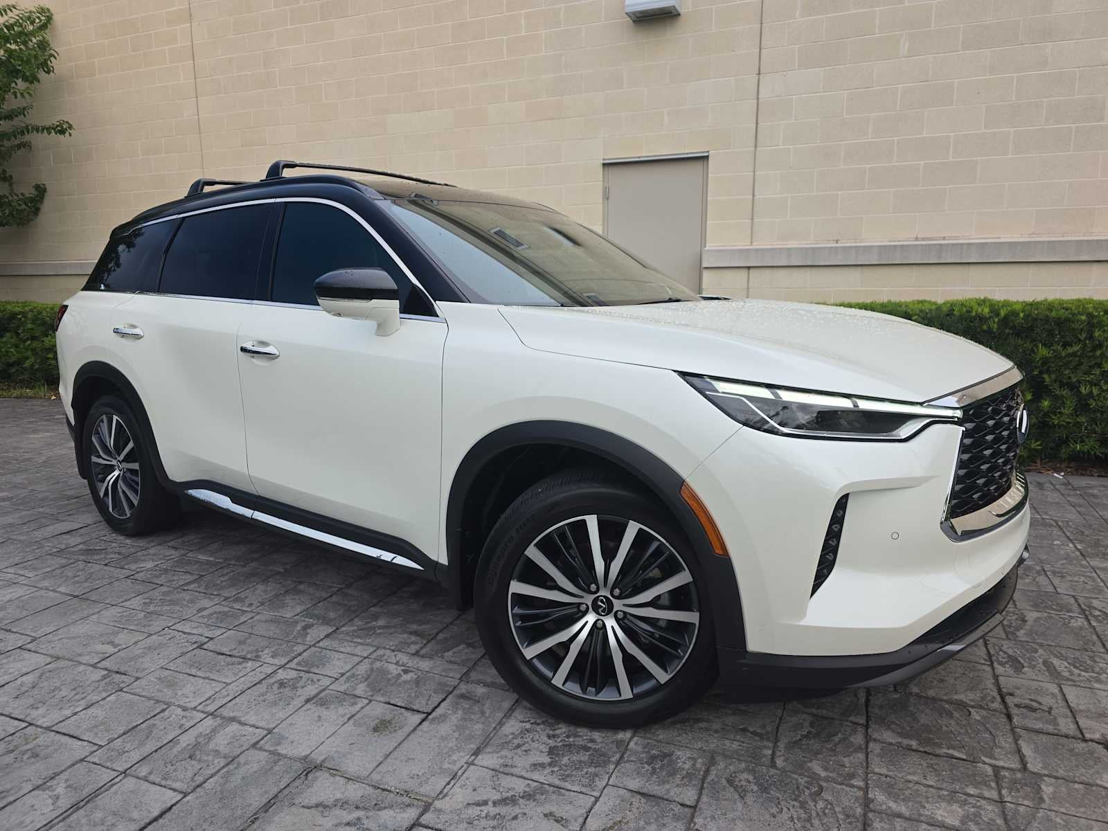 2024 INFINITI QX60 AUTOGRAPH