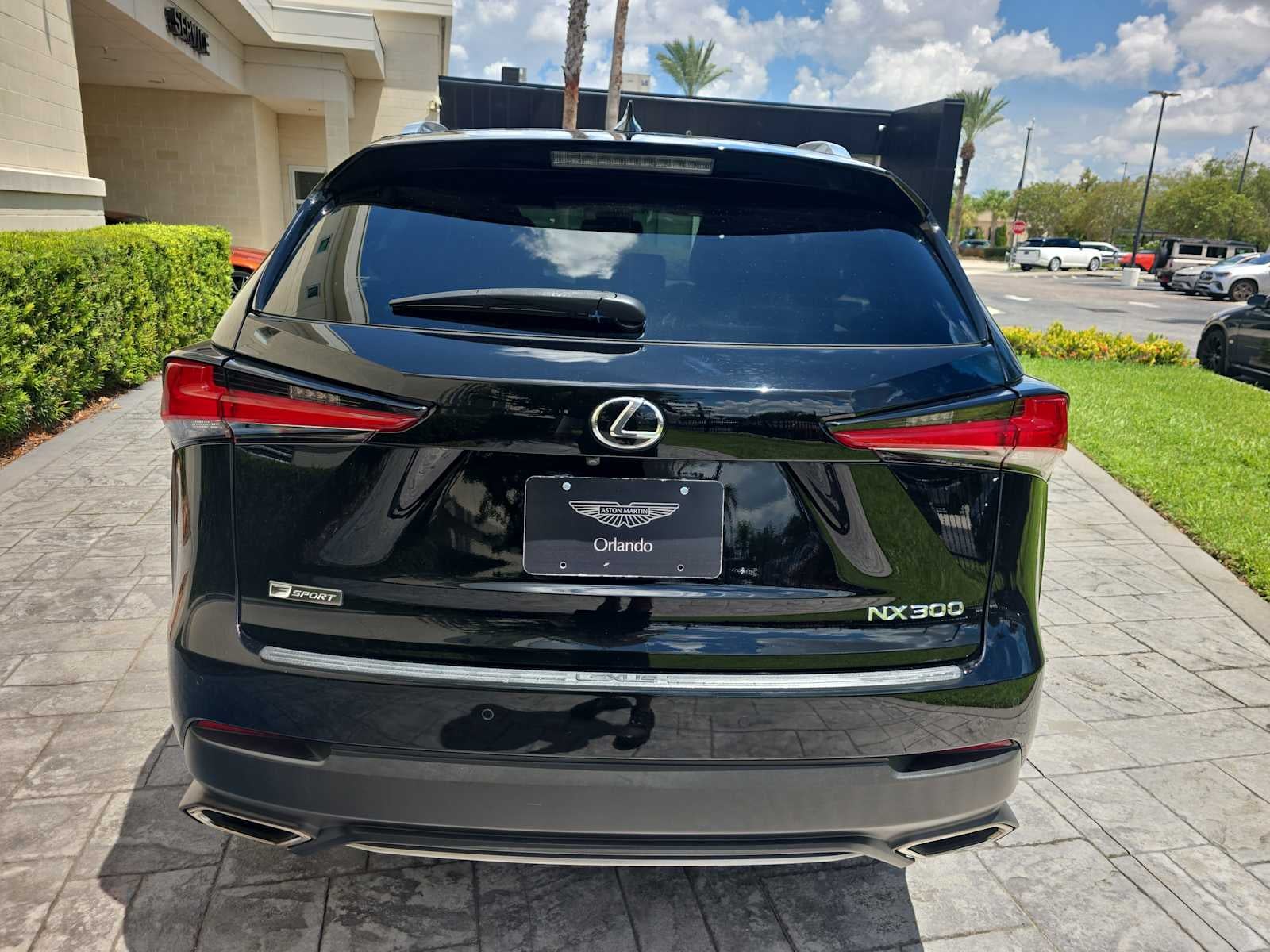 2020 Lexus NX 300 F SPORT