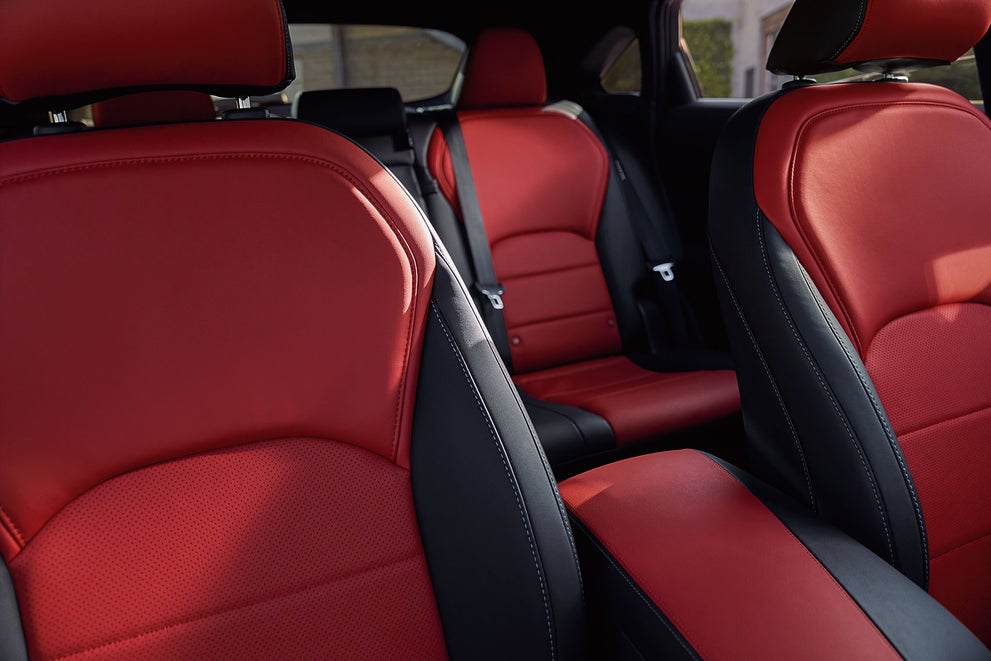 2024 INFINITI QX55 | ORLANDO INFINITI in Orlando FL